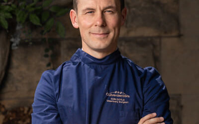 Winter 2018 Newsletter