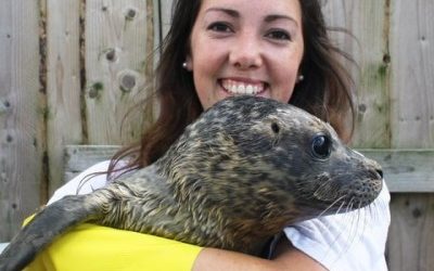 Winter 2019 Newsletter